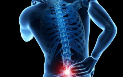 Low Back Pain? Bridges can Help!